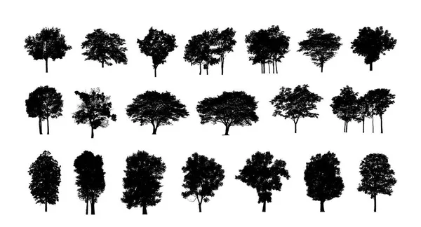 Sada Stromů Silueta Pro Štětec Bílém Pozadí — Stock fotografie