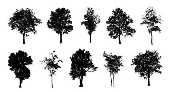 白い背景のブラシのための木のシルエットのセット — ストック写真