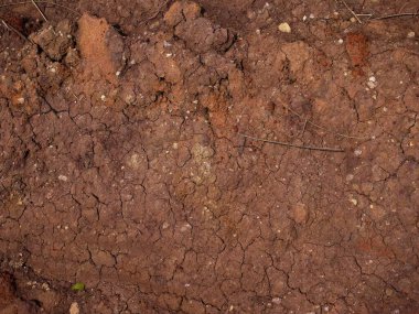 Doğal toprak dokusu ve doku arkaplanı