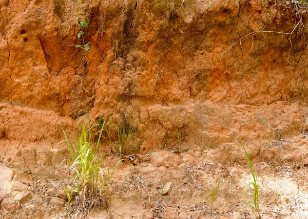 natural soil texture and texture background