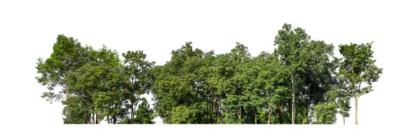 Дерева Зелений Острів Ізольовані Білому Тлі — стокове фото