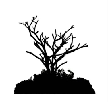 Beyaz arkaplanda çalılık ve ölü ağaç silueti.