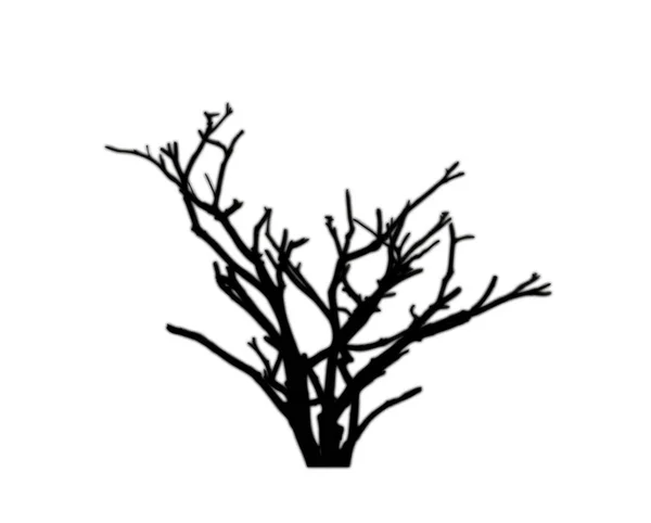 Νεκρή Σιλουέτα Δέντρου Για Πινέλο Λευκό Φόντο — Φωτογραφία Αρχείου
