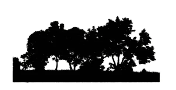 Φιγούρα Δέντρων Για Πινέλο Λευκό Φόντο — Φωτογραφία Αρχείου