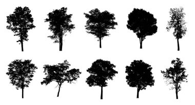 Beyaz arkaplanda fırça için ağaç silueti