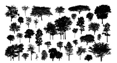 Beyaz arkaplanda fırça için ağaç silueti