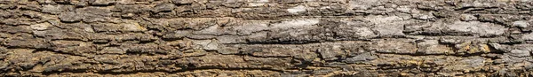Ebenes Texturem Der Baumrinde Auf Weißem Hintergrund Hohe Auflösung Für — Stockfoto
