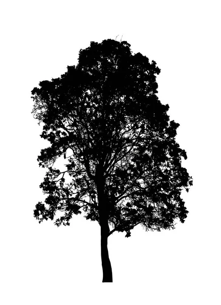 Beyaz Arkaplanda Fırça Için Ağaç Silueti — Stok fotoğraf
