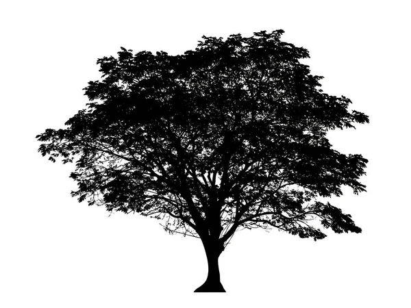 Beyaz arkaplanda fırça için ağaç silueti.