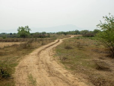 Kırsal yollar çorak otlarla dolu tarlalardan geçer.