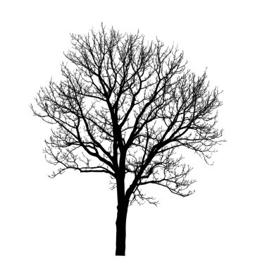Beyaz arkaplanda fırça için ağaç silueti.