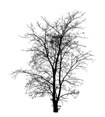 Beyaz arkaplanda fırça için ağaç silueti.