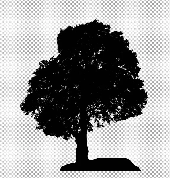クリッピングパスとアルファと透明な背景の木のシルエット — ストック写真