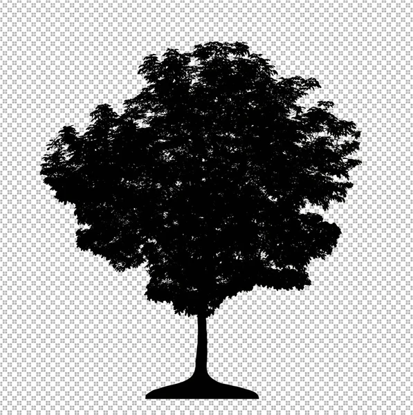 Silhouette Arbre Sur Fond Transparent Avec Chemin Coupe Alpha — Photo