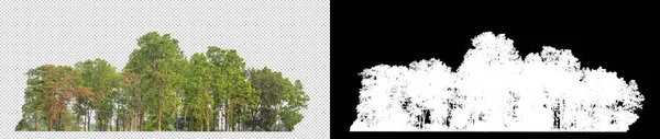 白い背景に孤立した緑の木 カットパスとアルファチャンネルと印刷とWebページの両方のための夏の森と葉です — ストック写真