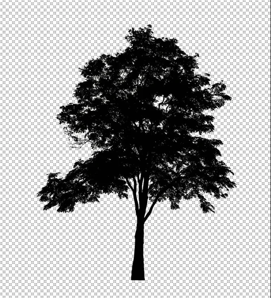 Silueta Stromu Průhledném Pozadí Oříznutou Cestou Alfa — Stock fotografie