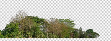 Saydam arka plan ormanlarında izole edilmiş yeşil ağaçlar ve hem kesik yolu hem de alfa kanalı ile hem de iz ve ağ için yaz yaprakları