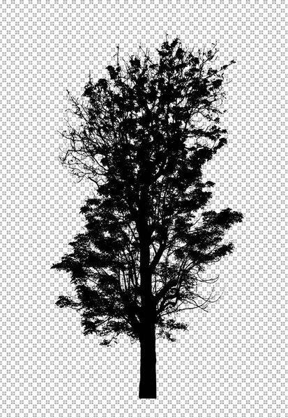 クリッピングパスとアルファと透明な背景の木のシルエット — ストック写真