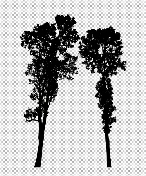 具有裁剪路径和Alpha的透明背景上的树轮廓 — 图库照片