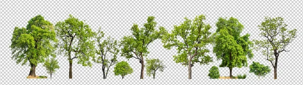 Green Trees Isolated Transparent Background Forest Summer Foliage Both Print — Stock Photo, Image