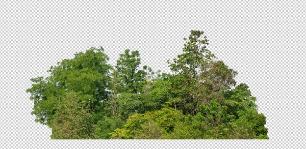 Groene Bomen Geïsoleerd Transparante Achtergrond Bos Zomer Gebladerte Voor Zowel — Stockfoto