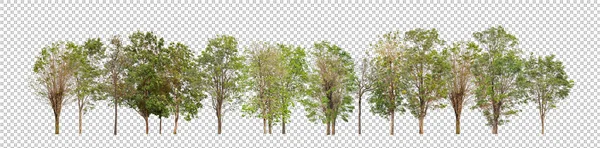 나무들은 인쇄와 잎으로 — 스톡 사진