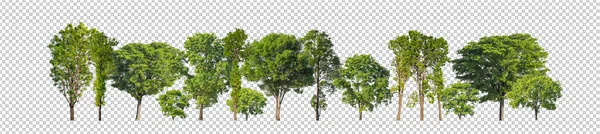 Πράσινα Δέντρα Απομονωμένα Διαφανές Φόντο Δάσος Και Καλοκαιρινό Φύλλωμα Τόσο — Φωτογραφία Αρχείου