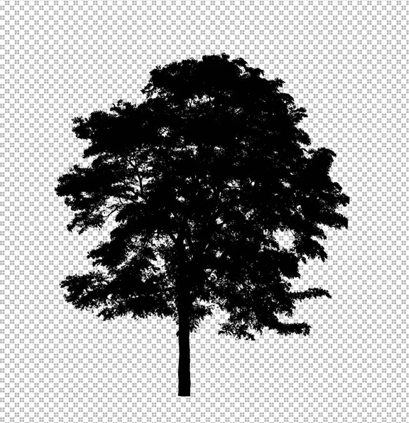 Siluet Pohon Pada Latar Belakang Transparan Dengan Path Kliping Dan — Stok Foto