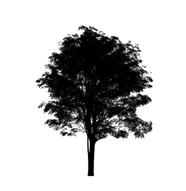Beyaz arkaplanda fırça için ağaç silueti.