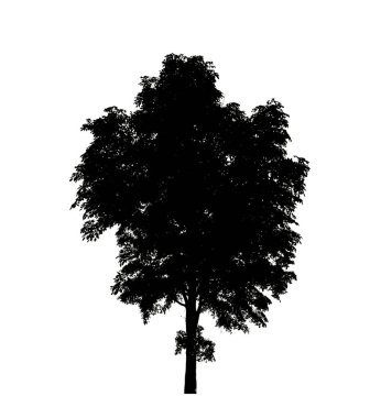 Beyaz arkaplanda fırça için ağaç silueti.