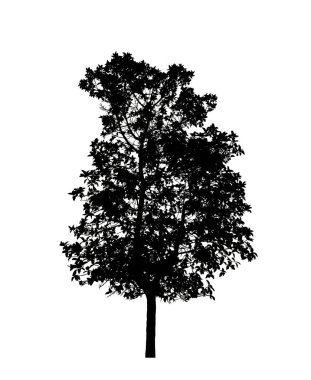 Beyaz arkaplanda fırça için ağaç silueti.