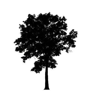 Beyaz arkaplanda fırça için ağaç silueti.