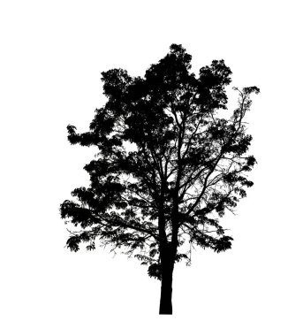 Beyaz arkaplanda fırça için ağaç silueti.