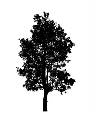 Beyaz arkaplanda fırça için ağaç silueti.