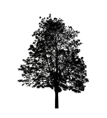 Beyaz arkaplanda fırça için ağaç silueti.