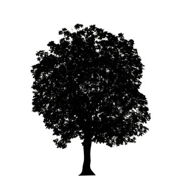 Beyaz arkaplanda fırça için ağaç silueti.