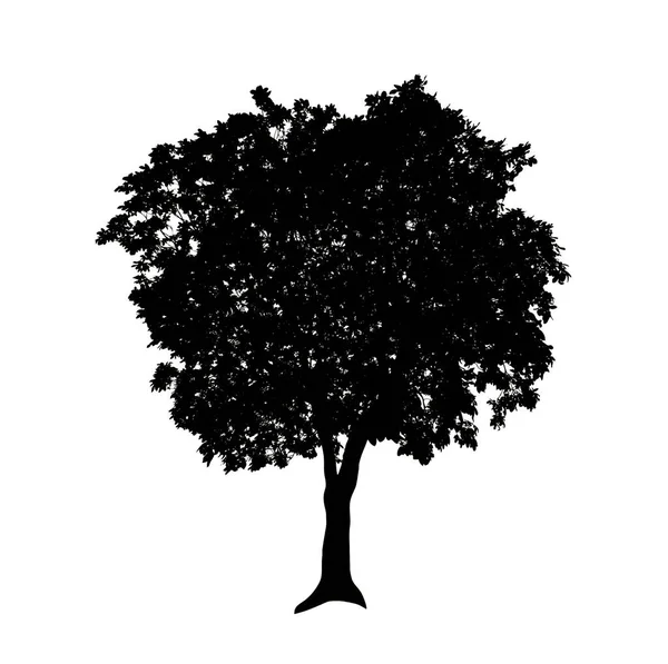 白い背景にブラシのための木のシルエット — ストック写真