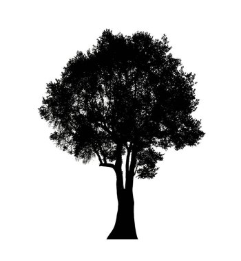 Beyaz arkaplanda fırça için ağaç silueti.