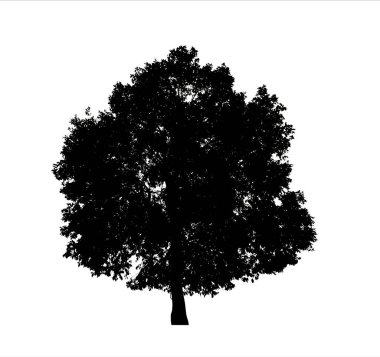 Beyaz arkaplanda fırça için ağaç silueti.