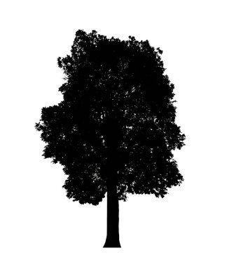 Beyaz arkaplanda fırça için ağaç silueti.