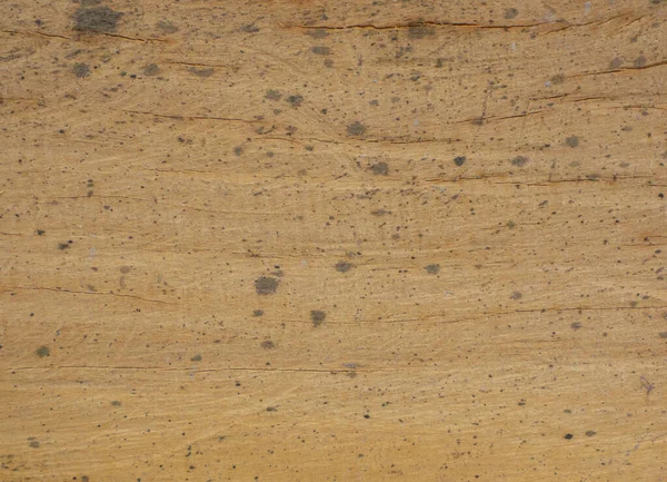 Embossing Wood Texture Transparent Background — Stock Fotó