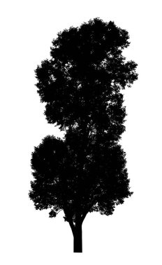 Beyaz arkaplanda fırça için ağaç silueti.