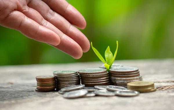 Ideas for Saving Money and Economic Growth The saplings that grow on piles of coins have a natural backdrop.