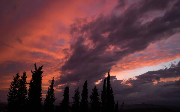 Vackra Färgglada Molnformationer Tagna Strax Efter Solnedgången Med Trädsiluetter Förgrunden — Stockfoto