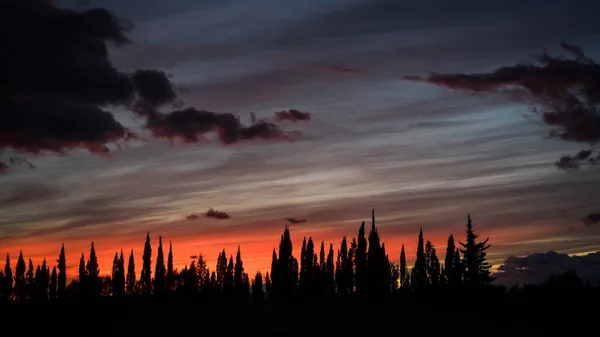 Una Silueta Arbórea Contra Cielo Colorido Atardecer — Foto de Stock