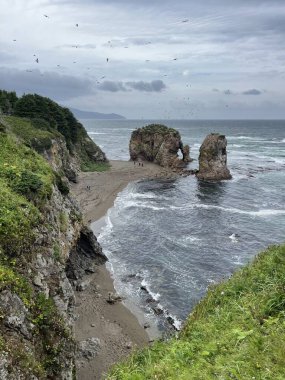 Deniz dalgaları kayalık kıyılara çarpıyor.