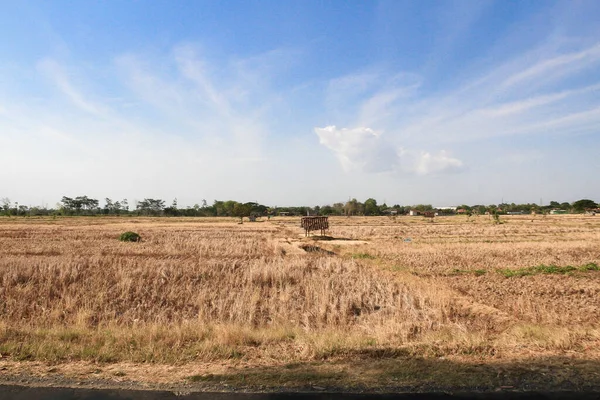 Largas Sequías Hacen Que Las Áreas Agrícolas Experimenten Sequía Algunas —  Fotos de Stock