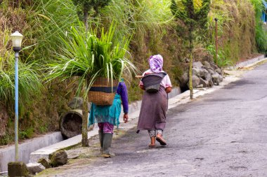 Günlük aktiviteler yapan iki kadın, Merapi Dağı yürüyüş parkurunda yerel sakinler. BOYOLALI CENTRAL JAVA, İNDONEZYA - 7 Kasım 2021.