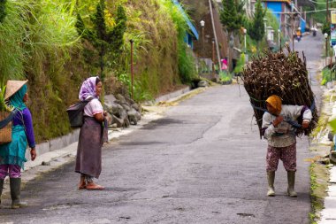 Merapi Dağı civarındaki yerel sakinler Merapi yanardağının faaliyetlerindeki artışın ardından olağan faaliyetlerini sürdürüyorlar. BOYOLALI CENTRAL JAVA, İNDONEZYA - 7 Kasım 2021.
