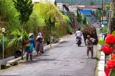 Merapi Dağı civarındaki yerel sakinler Merapi yanardağının faaliyetlerindeki artışın ardından olağan faaliyetlerini sürdürüyorlar. BOYOLALI CENTRAL JAVA, İNDONEZYA - 7 Kasım 2021.